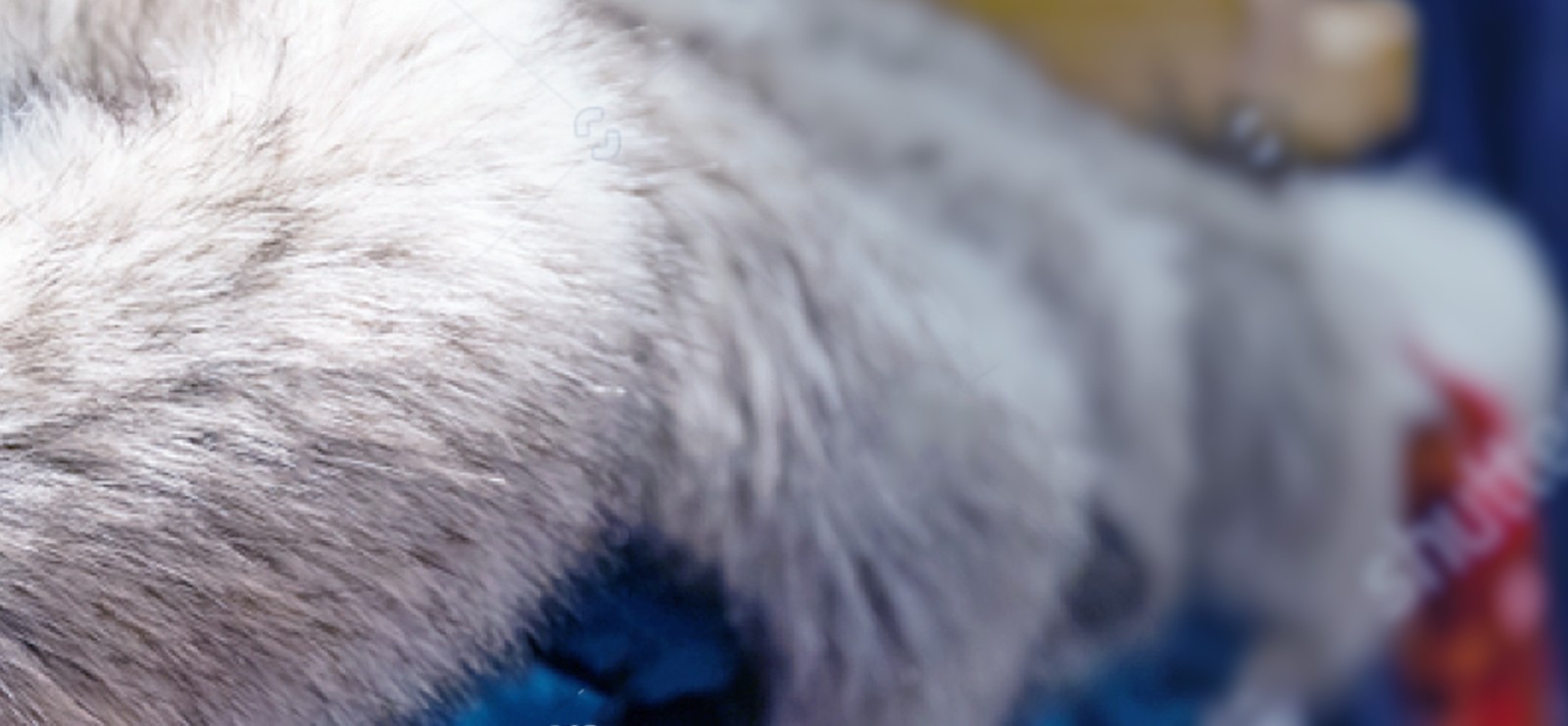 1606983900528804.jpg yewulingyu_fangzhi1.jpg