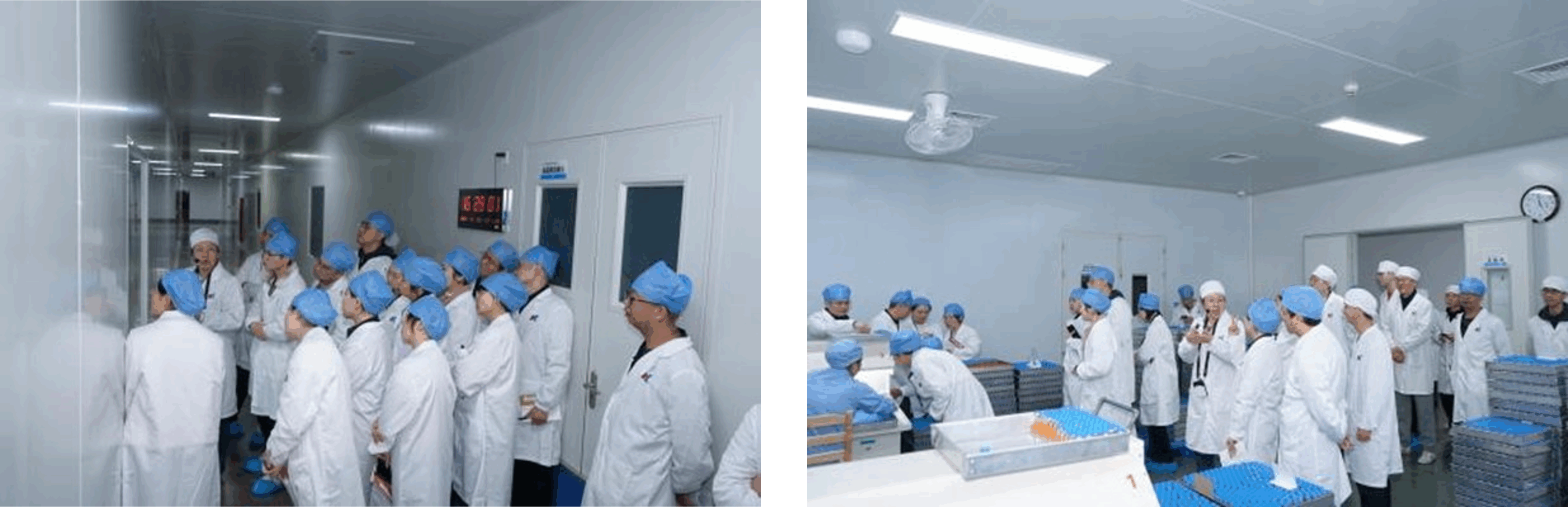 1733794563966469.png 圖片1.png